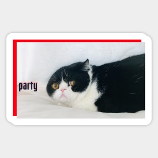 Party Animal Sticker